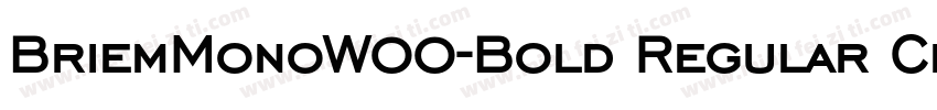 BriemMonoW00-Bold Regular Chisel No字体转换